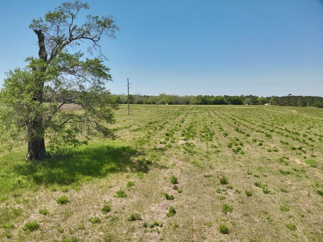 11.97 acres Omussee Road, Dothan, AL 36303