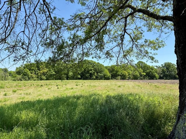 11.97 acres Omussee Road, Dothan, AL 36303