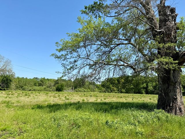 11.97 acres Omussee Road, Dothan, AL 36303