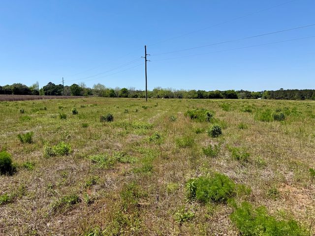 11.97 acres Omussee Road, Dothan, AL 36303