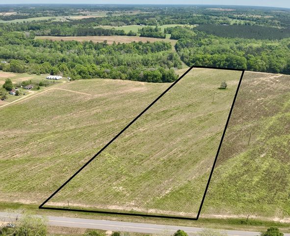 11.97 acres Omussee Road, Dothan, AL 36303