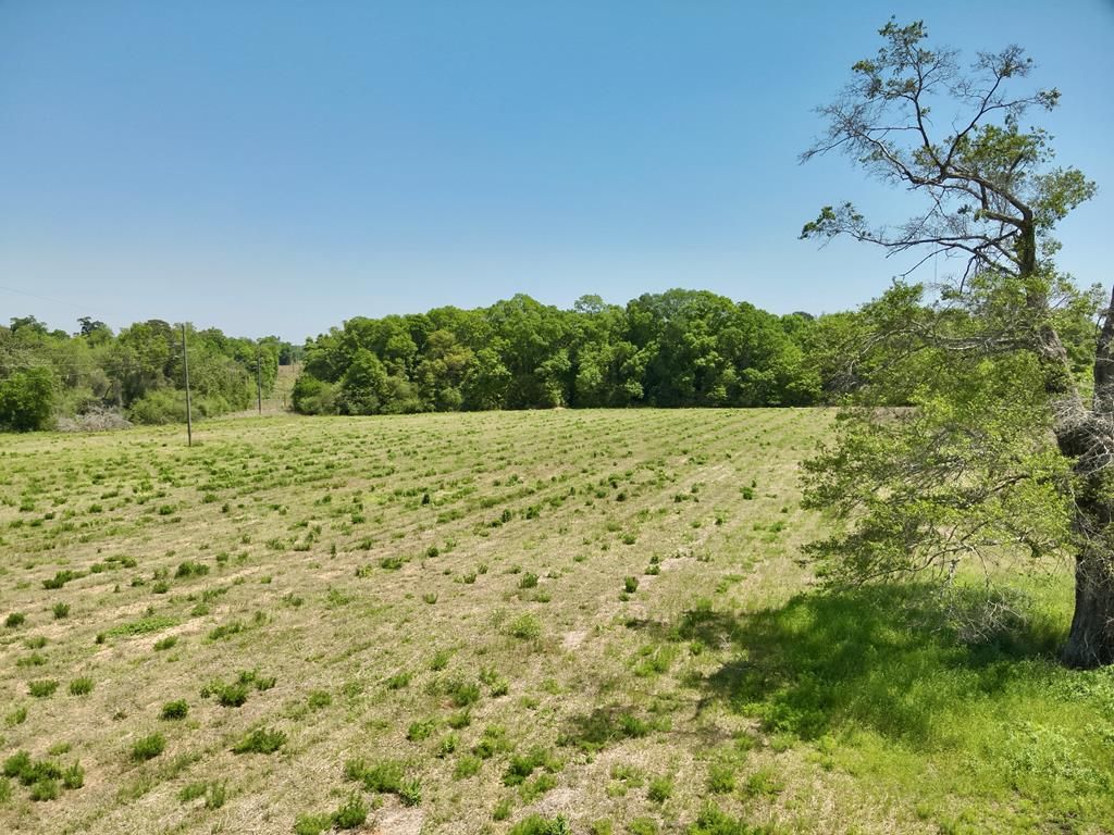 11.97 acres Omussee Road, Dothan, AL 36303