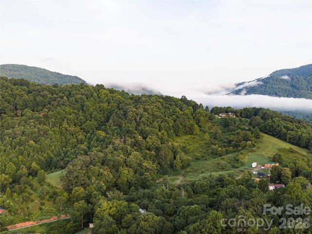 99999 Cleves Drive, Candler, NC 28715
