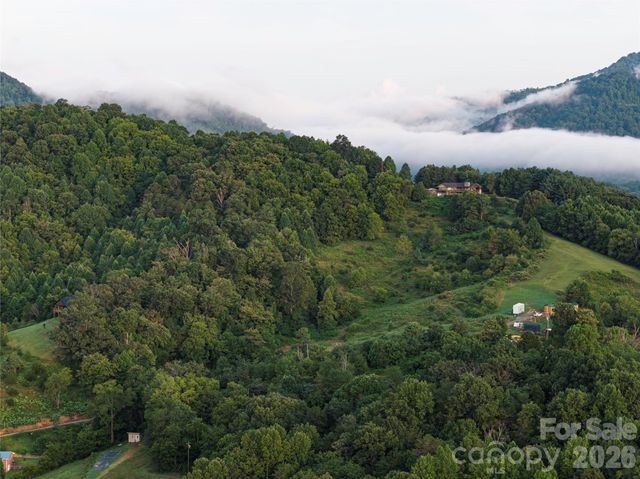 99999 Cleves Drive, Candler, NC 28715