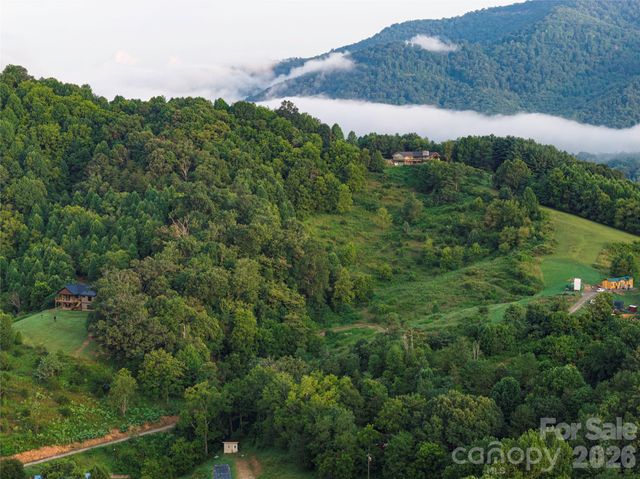 99999 Cleves Drive, Candler, NC 28715