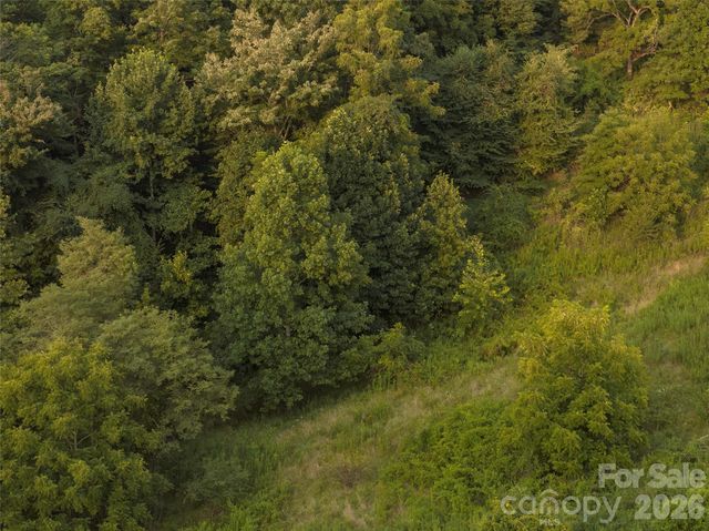 99999 Cleves Drive, Candler, NC 28715