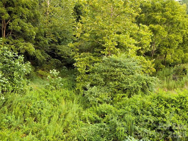 99999 Cleves Drive, Candler, NC 28715