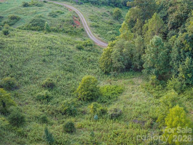 99999 Cleves Drive, Candler, NC 28715