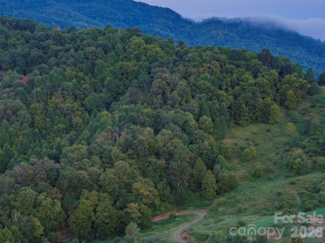 99999 Cleves Drive, Candler, NC 28715