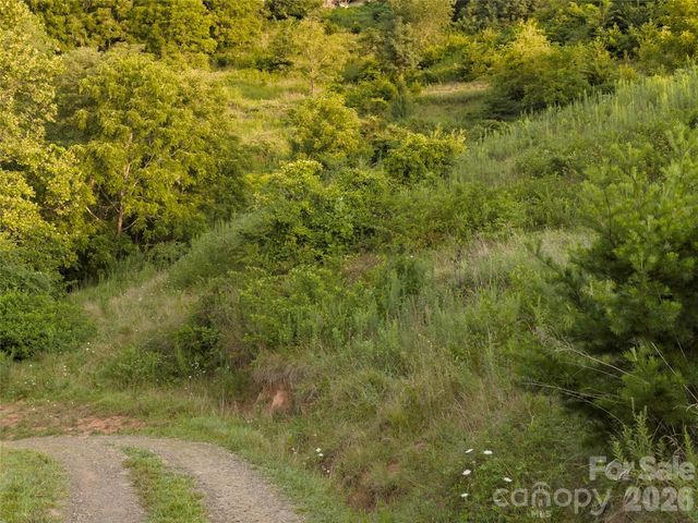 99999 Cleves Drive, Candler, NC 28715