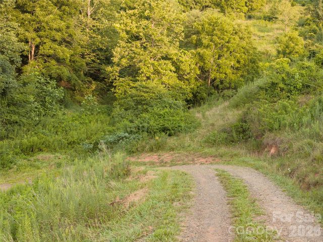 99999 Cleves Drive, Candler, NC 28715