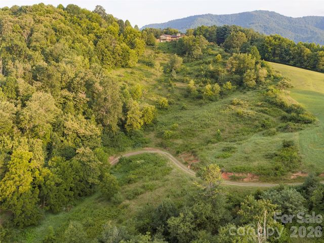 99999 Cleves Drive, Candler, NC 28715