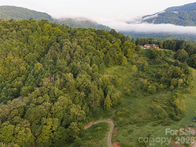 99999 Cleves Drive, Candler, NC 28715