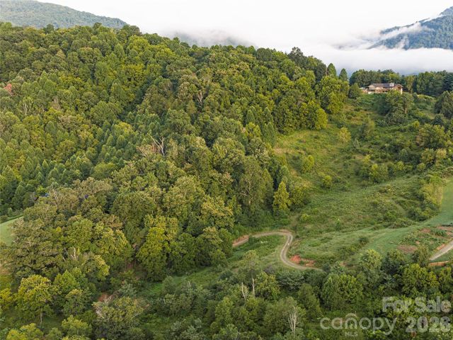 99999 Cleves Drive, Candler, NC 28715