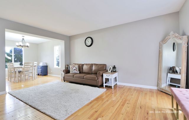 1407 S Janice Lane, Round Lake, IL 60073