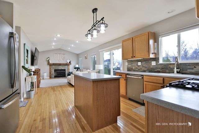 1407 S Janice Lane, Round Lake, IL 60073