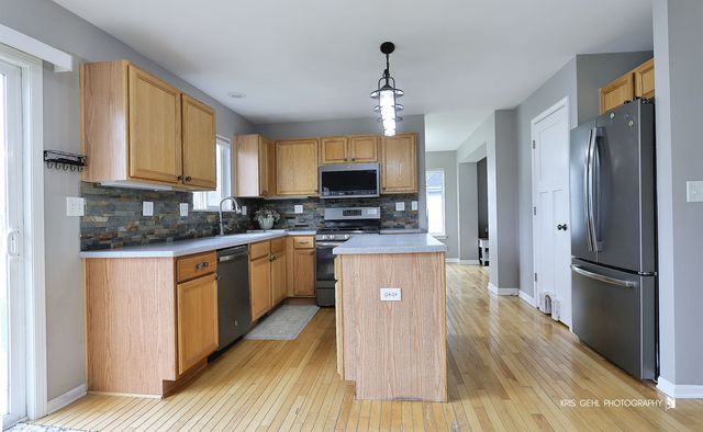 1407 S Janice Lane, Round Lake, IL 60073