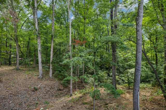 1007 Pheasant Ct, Kingston Springs, TN 37082