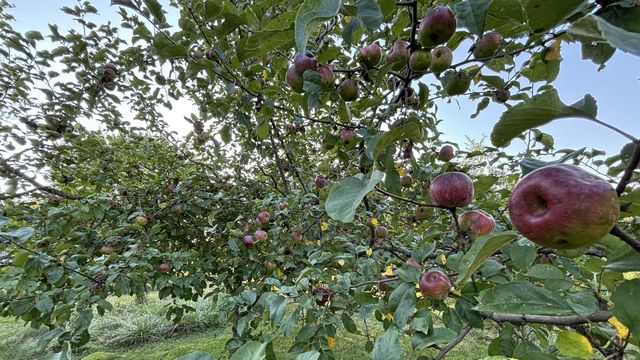 13420 Taylor Road, Plain City, OH 43064