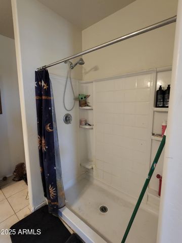 3855 N 308TH Lane, Buckeye, AZ 85396