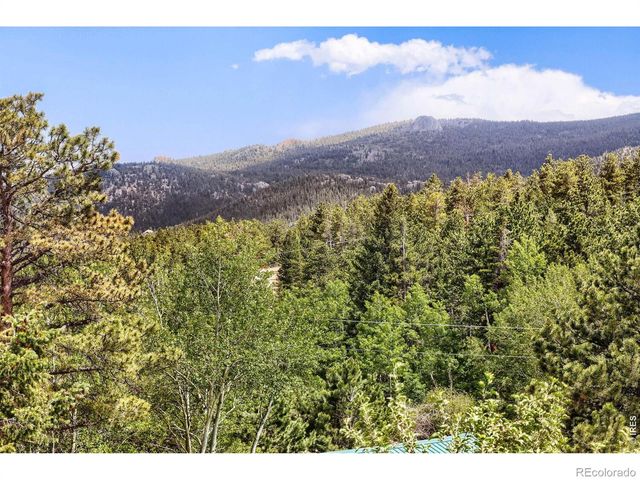 449 Highway 7 Business, Allenspark, CO 80510