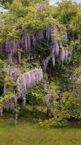 5078 Castle Road, Otter Lake, MI 48464