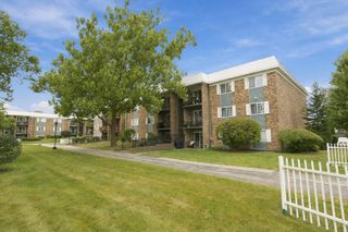 1627 N Windsor Drive 305, Arlington Heights, IL 60004