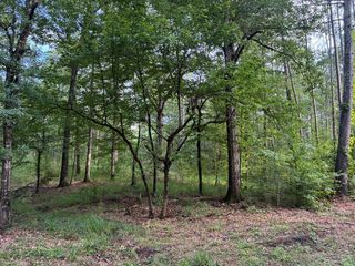 3352a Mound Rd Ne, Wesson, MS 39191