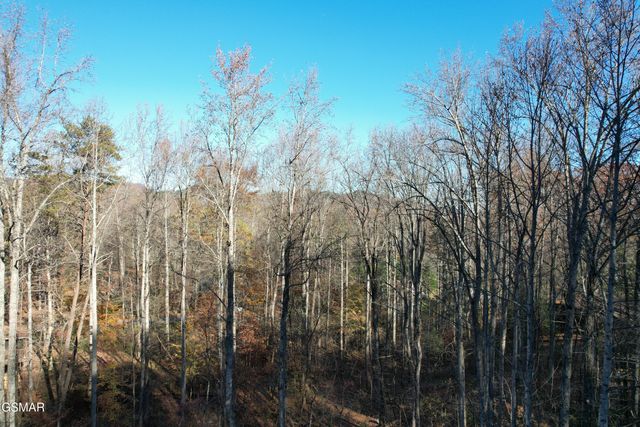 4023 Ole Smoky Way, Sevierville, TN 37862