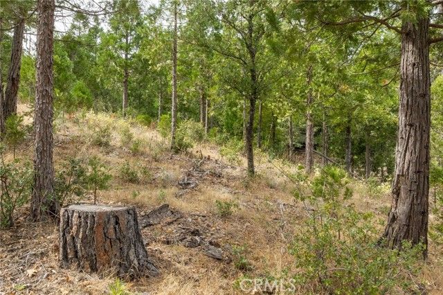 26 Timberview, North Fork, CA 93643