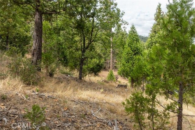 26 Timberview, North Fork, CA 93643