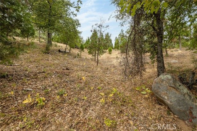 26 Timberview, North Fork, CA 93643