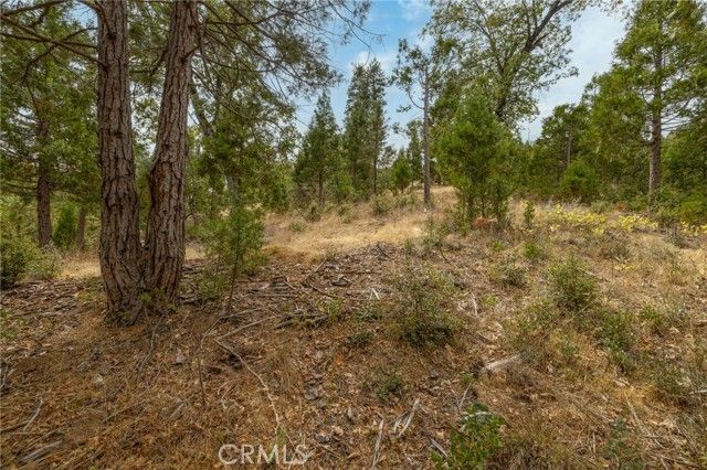 26 Timberview, North Fork, CA 93643