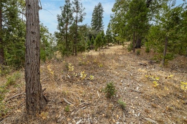 26 Timberview, North Fork, CA 93643