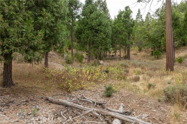 26 Timberview, North Fork, CA 93643