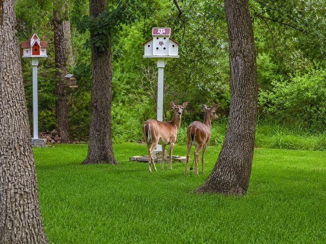 8307 Charlya Drive, Athens, TX 75752