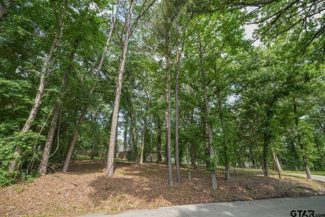 23628 Cove Park Dr., Bullard, TX 75757