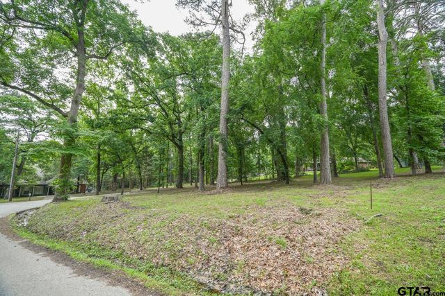 23628 Cove Park Dr., Bullard, TX 75757