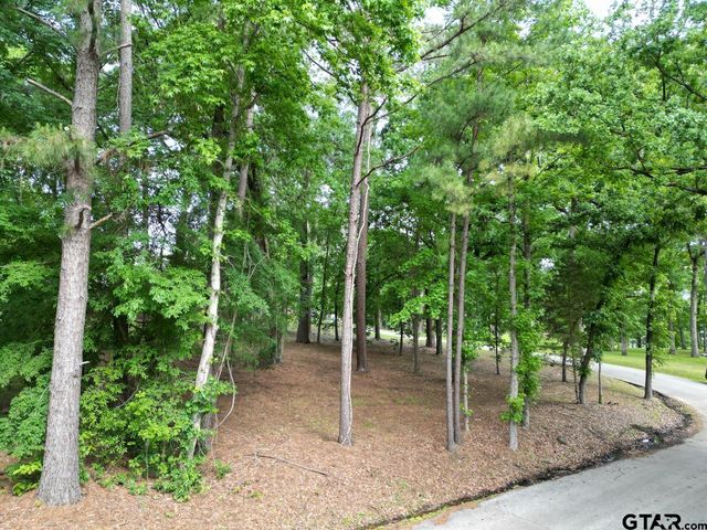 23628 Cove Park Dr., Bullard, TX 75757