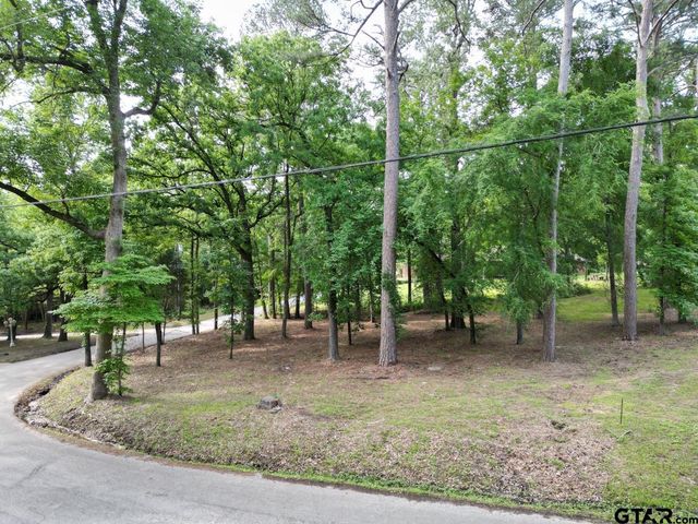 23628 Cove Park Dr., Bullard, TX 75757