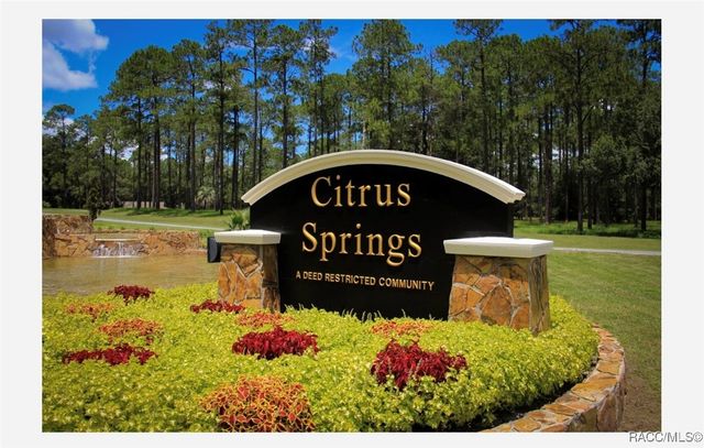 8276 N Elida Avenue, Citrus Springs, FL 34434