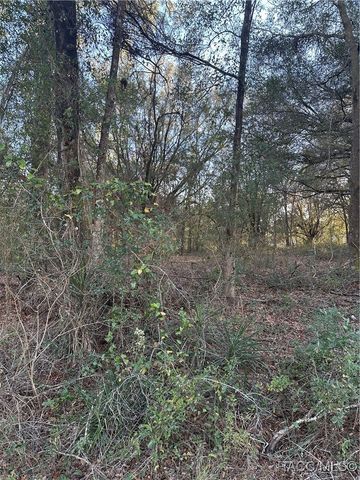 8276 N Elida Avenue, Citrus Springs, FL 34434