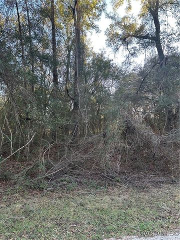 8276 N Elida Avenue, Citrus Springs, FL 34434