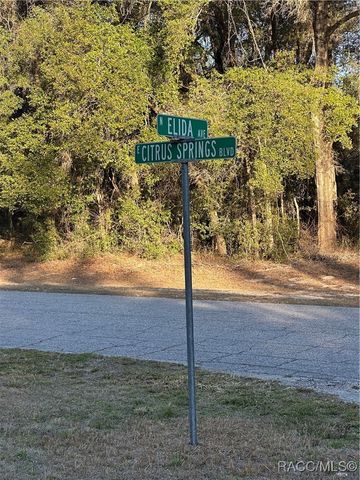 8276 N Elida Avenue, Citrus Springs, FL 34434