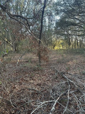 8276 N Elida Avenue, Citrus Springs, FL 34434