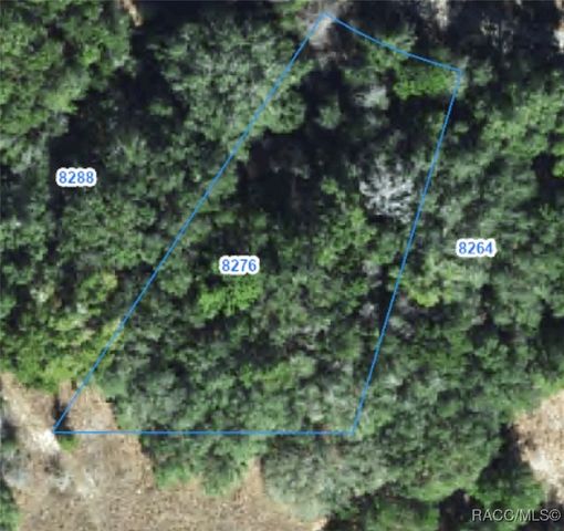 8276 N Elida Avenue, Citrus Springs, FL 34434