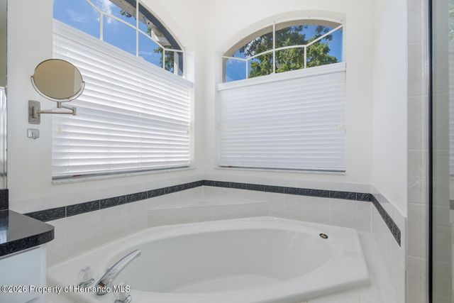 11017 Audie Brook Drive, Spring Hill, FL 34608