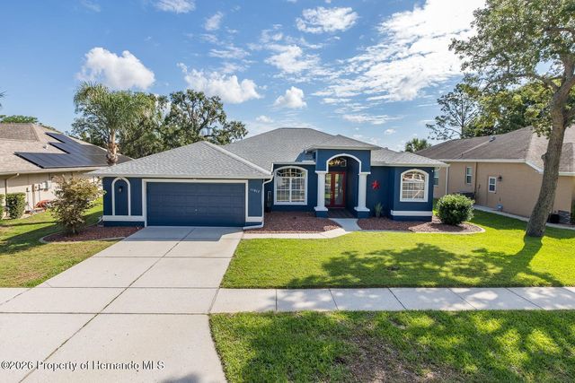 11017 Audie Brook Drive, Spring Hill, FL 34608