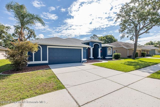 11017 Audie Brook Drive, Spring Hill, FL 34608