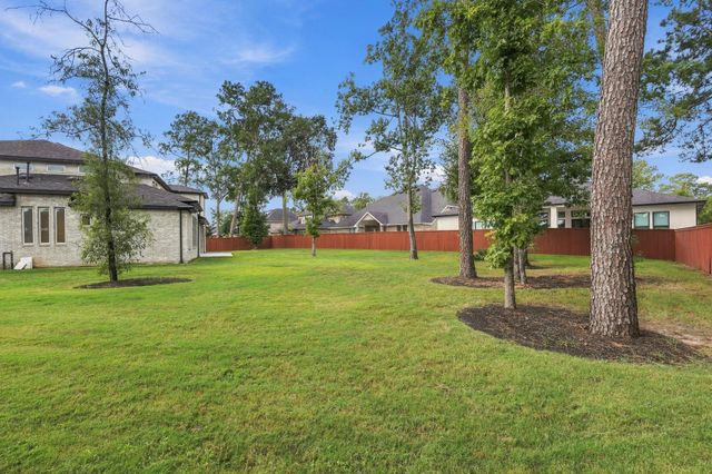 10528 Scarce Chaser Street, Conroe, TX 77385